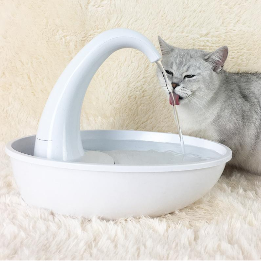 Automatic Cat Water Dispenser