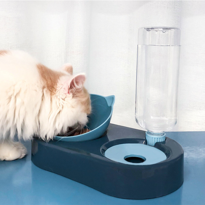 Cat Bowl with Water Dispenser